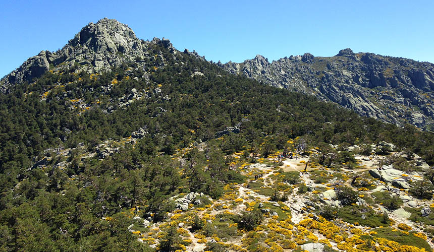 Siete Picos. Rutas de Senderismo en Madrid con Dreampeaks.